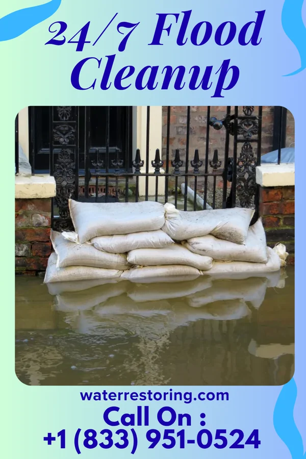 24/7 Flood Cleanup in Elsa, TX